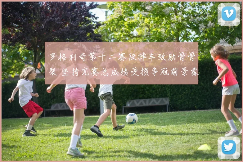 罗格利奇第十二赛段摔车致肋骨骨裂 坚持完赛总成绩受损争冠前景蒙阴影