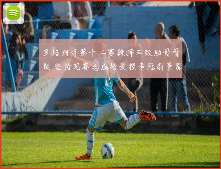 罗格利奇第十二赛段摔车致肋骨骨裂 坚持完赛总成绩受损争冠前景蒙阴影