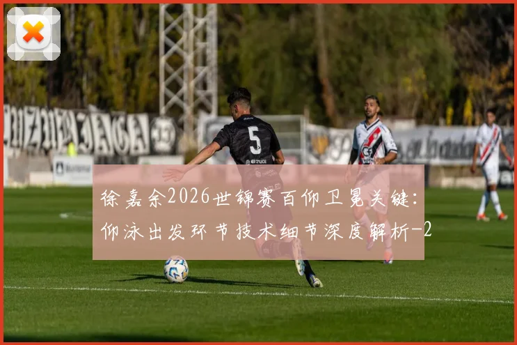 徐嘉余2026世锦赛百仰卫冕关键:仰泳出发环节技术细节深度解析